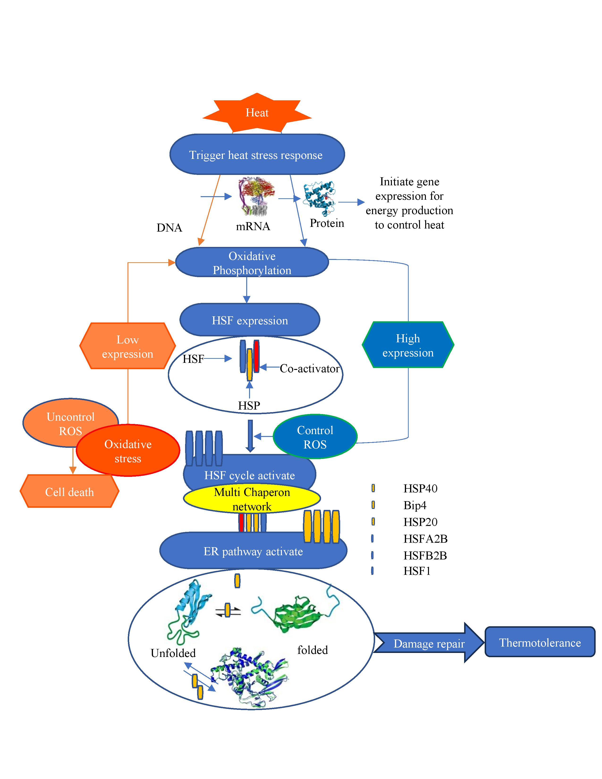 Research publication